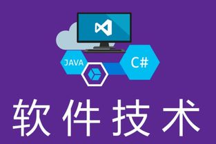 湖南中專軟件技術專業(yè)對口升學路徑 單招學校與金融服務外包機遇